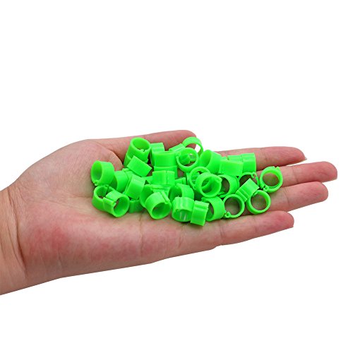 MasXirch 100 Pcs Vogel Bein Ringe Vogel Identifikation Bein Bands Geflügel Bein Bands Clip auf Bein Ringe für Tauben Tauben Wachtel (8mm) – Bild 5
