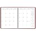AT-A-GLANCE Monthly Planner / Appointment Book 2017, 15 Months, 9 x 11