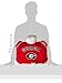 Fabrique Innovations NCAA Pillow Pet