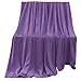 Monoche Solid Warm Microfiber Plush Fleece Blanket Flannel Perfect for Sofa Bedding Coral Blankets Throws 100x140cm (Purple)thumb 2