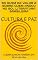 Livro SO QUEM DA VALOR A SOBRA QUEM ANDOU NO SOL LITERATURA BRASILEIRA : CULTURA E PAZ