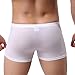 WINDAY Men Briefs Breathable Ice Silk Boxer Bikinis and Briefs N05