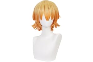 ZGNGLIZ Anime Cosplay Wig Long Short Synthetic Hair for Halloween Costume Party with Free Wig Cap (Short Orange)