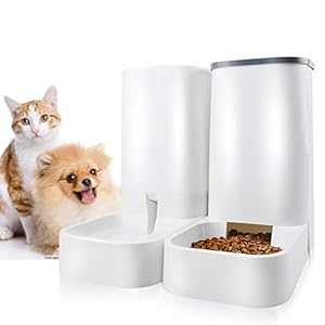 cat biscuit feeder
