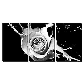 3 Piece Canvas Wall Art - Rose with Red Splashes on Black Background - Modern Home Art Stretched and Framed Ready to Hang - 16"x24"x3 Panels