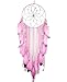 Large Size Big Size Dream Catcher Handmade Traditional Pink Feather Silver Painting Silver net Wall Hanging Mordern Home Decoration (Pink-L)
