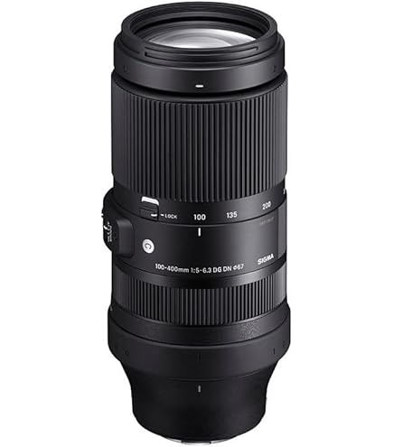 Amazon.com : 100-400mm F-5.6.3 DG DN OS L-Mount : Electronics
