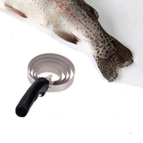 Top 10 Best Fish Scalers On The Market 2024 Reviews