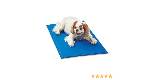 pawslife cooling pad
