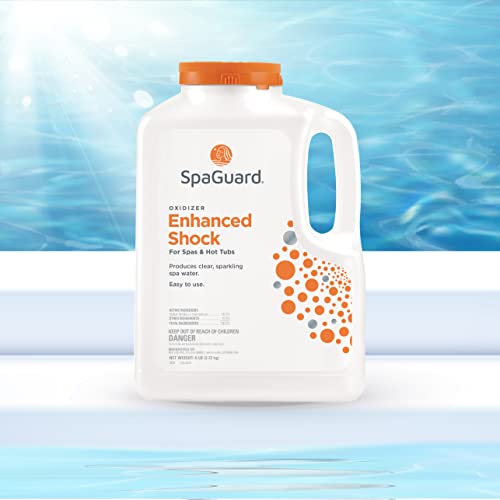 SpaGuard Enhanced Shock 6 Pound with LeisureQuip ScumBoat Scum Absorber