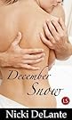 December Snow
