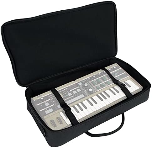 Amazon.com: MOOG SR Case for Subsequent 25 Synthesizer : Musical
