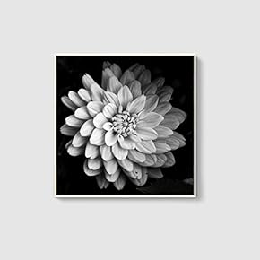 Framed Canvas Home Artwork Decoration Beautiful Flower Canvas Wall Art for Living Room, Bedroom - 16x16 inches