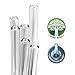STRAWGRACE Glass Straws, Reusable Glass Straws, Long Glass Straws, Short Glass Straws, Glass Straws (8 x 15 cm)