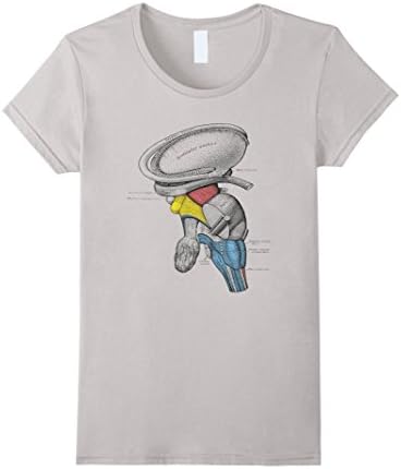 Womens Vintage Brainstem Gray Anatomy Neurology Medical T-Shirt Medium Silver