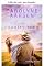 Livro Amor como uma canção country (Em busca de um lar Livro 3)
