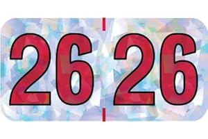 2026 Year Labels, Doctor Stuff 2026 Chart Stickers, Holographic Silver Colored, USA Made Year Label for End Tab File Folders, 500 Labels per Roll, 1 Roll, 3/4" x 1-1/2"