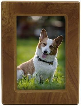 near and dear pet memorials