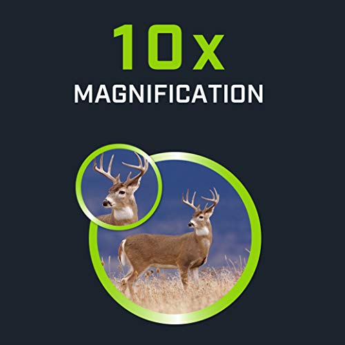 Bushnell Fernglas 10x42 Powerview Real Tree - sehr klares Bild, lichtstark, robust, perfekt für Natur -und Tierbeobachtung, 141042RB – Bild 8