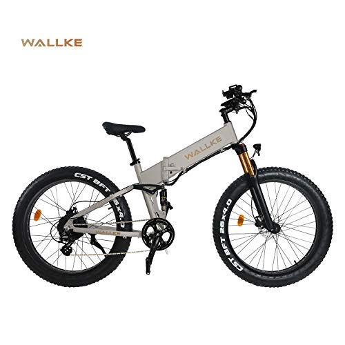 26 inch Folding Electric Bicycle 48V 14ah Detachable Battery 750W Beach Cruiser Fat Tire Snow Mounta