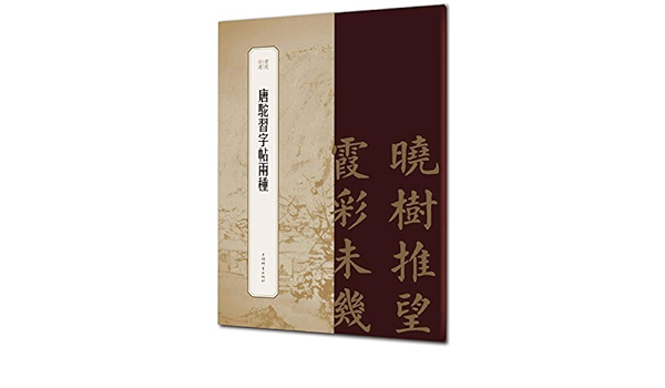 唐驼习字帖两种 书苑拾遗 匿名 匿名 Amazon Com Books