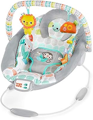 bright starts butterfly dreams bouncer