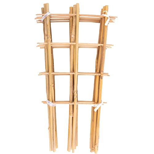 Avalution 10 Pack Bamboo Trellis for Climbing Plants 16" Natural Garden Ladder