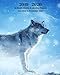 2019 - 2020 | 18 Month Weekly & Monthly Planner July 2019 to December 2020: Blue Wolf Wolves Wildlife Animals Nature Vol. 2 Monthly Calendar with ... Holidays- Calendar in Review/Notes 8 x 10 in. by Dazzle Book Press
