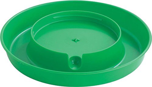 Little Giant Lime Green Screw-On Base for 1-Gallon Plastic Poultry Waterer
