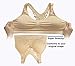 3-Pack Butterfly Lace Back Women's Seamless & Wirefree Comfort Bra with Removable Pads, by Pretty Seamless (XX-Large, Black, White and Nude)