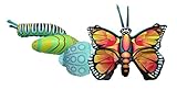 Giant Inflatable Butterfly Life Cycle Stages 4 Piece Set w/ 21 Inch Butterfly