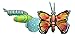 Giant Inflatable Butterfly Life Cycle Stages 4 Piece Set w/ 21 Inch Butterfly