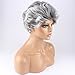 WeKen Women's Cosplay Wig Short Curly Synthetic Hair Silver Gray