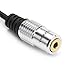 tisino 1/4 inch to 3.5mm Stereo Adapter Cable 6.35mm TRS Male to 3.5mm Female Quarter Inch Headphone Jack Converter AUX Connector Cable - 10 Inch