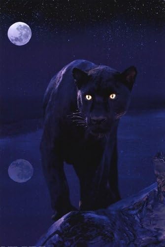 EuroGraphics Black Panther in Moonlight Poster Print, 24x36