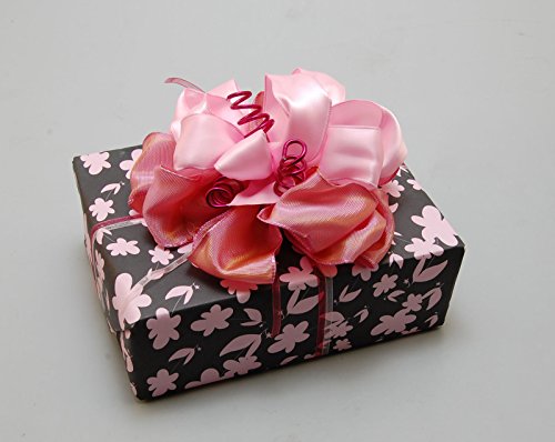 2 Darice+BOW1003+Bowdabra+Maker+Craft