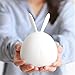 Forvery Portable Silicone LED Nightlights 7 Single Colors Mode and 7-color Breathing 3-modes Interesting Mild Soft Adorable Bunny Bear Appearance USB Charging