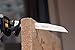 EZARC Reciprocating Saw Blade Wood and Metal Demolition 9-Inch 10TPI R930DM (5-Pack)