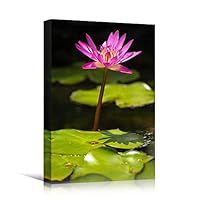 Canvas Wall Art Water Lily Bohemian Colorful Floral Group Multicolor Photography - 12x18 inches