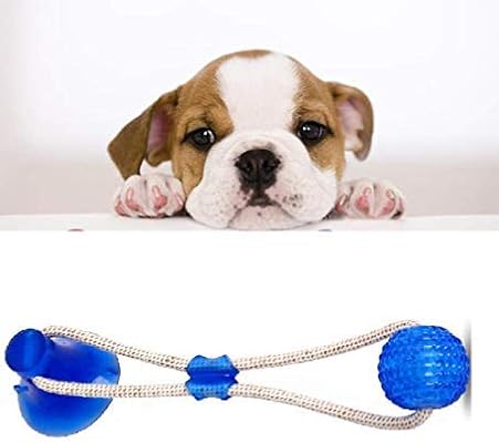 cheap dog toys australia