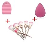 AccMart Flower Shaped Makeup Brushes, 6PCS Makeup Brushes Set for Highlighter Eyebrow Eyeliner Foundation with Free Pro Beauty Makeup Sponge, Makeup Brush Cleaner 