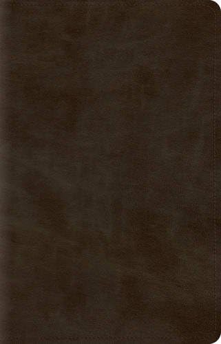 ESV Wide Margin Reference Bible (TruTone, Olive)