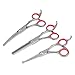 Premium Dog Grooming Scissors (Red)
