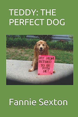 Teddy: the perfect dog