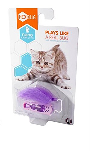 Hexbug Nano Robotic Bug Cat Kitten Motorized Toy Purple Pink | Desertcart  Brunei