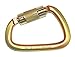 Spidergard S01813-S Steel Carabiner 50kn (11,200 lb) Rated, Twist Auto Lock, ANSI Certified
