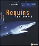 Requins en liberté by 