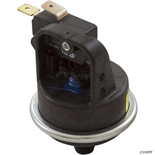 Raypak Pressure Switch, Versa/Gemini/RP2100