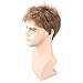 Kalyss Men's Short Straight Brown Wig Heat Resistant Synthetic Hair Wigs with Hair Bangs