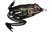 Lunkerhunt - Lunker Frog Fishing Lure | Award Winning Realistic Topwater Frog Lure for Fishing Bass, Trout and Pike | Freshwater Fish Bait with Hollow Body, Weedless Hooks